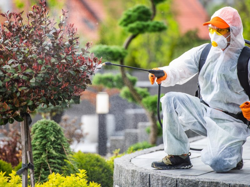 Derebucak Haşere İlaçlama