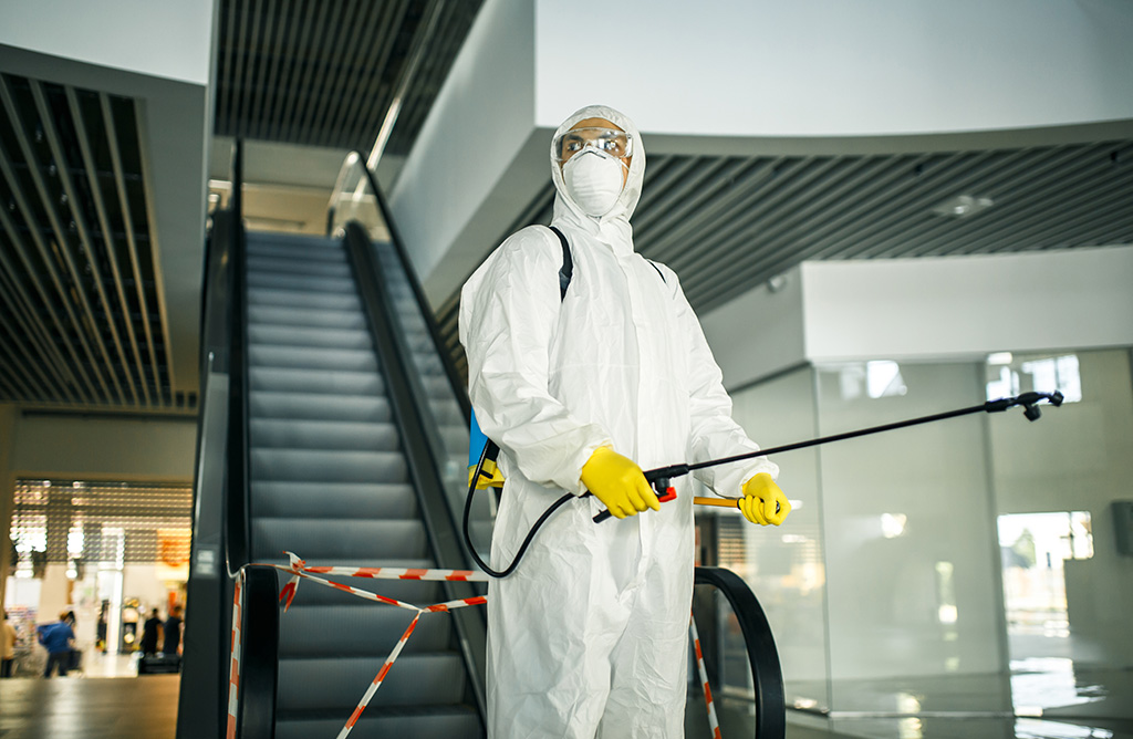 Derebucak Haşere İlaçlama